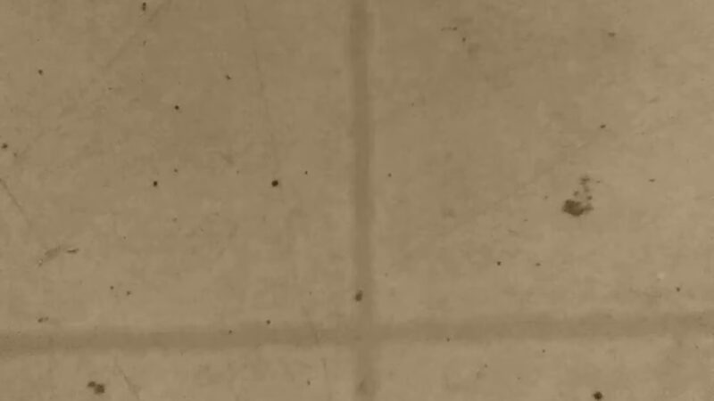 Ivra Clark Park - Camden, AR