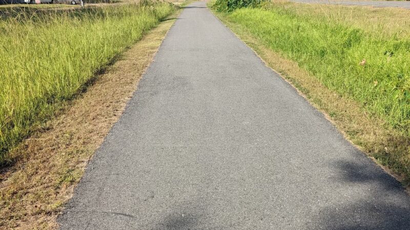 The Trace - Camden, AR