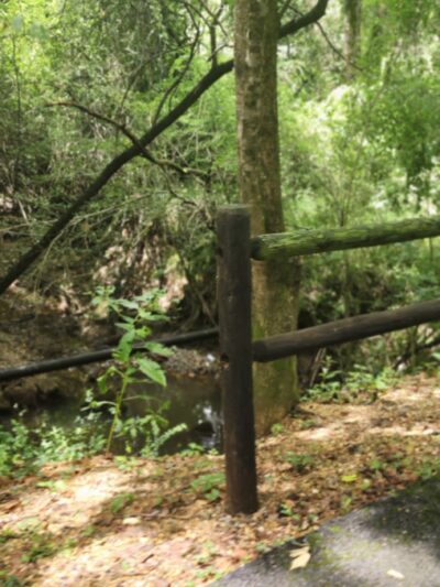 The Trace - Camden, AR