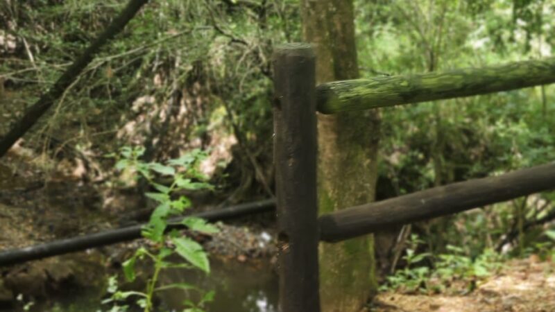 The Trace - Camden, AR