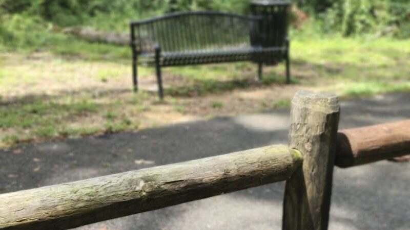 The Trace - Camden, AR