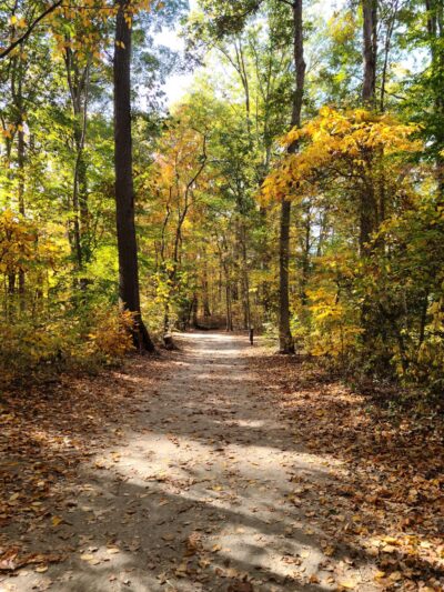 Brecknock County Park - Camden, DE