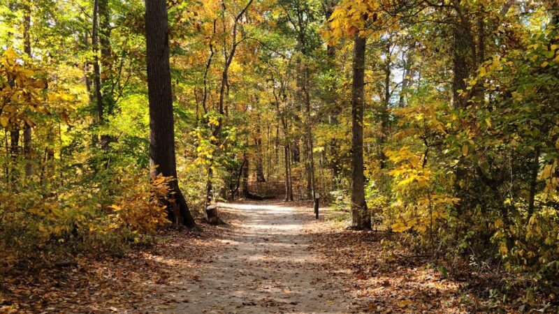 Brecknock County Park - Camden, DE