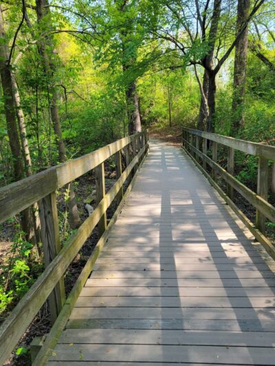 Brecknock County Park - Camden, DE