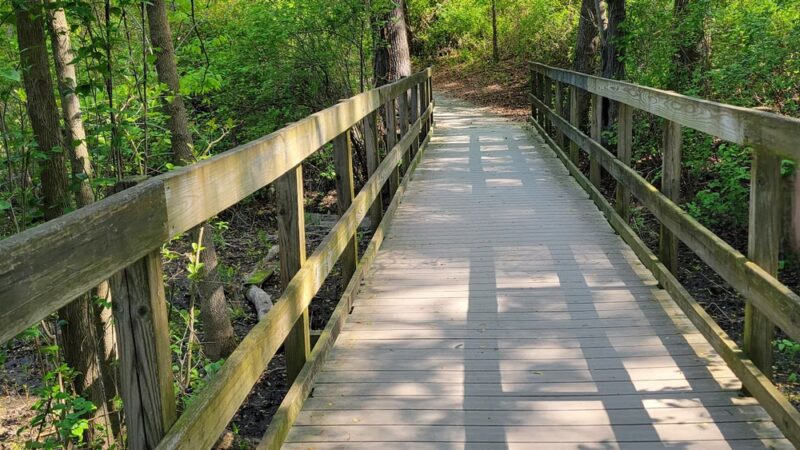 Brecknock County Park - Camden, DE