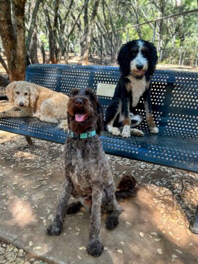 Hacienda Park - Cameron Park, CA