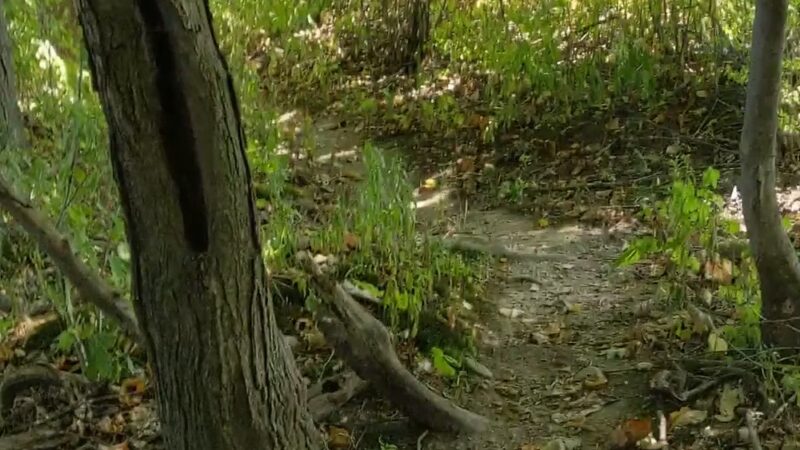 Camillus Forest Unique Area - Camillus, NY