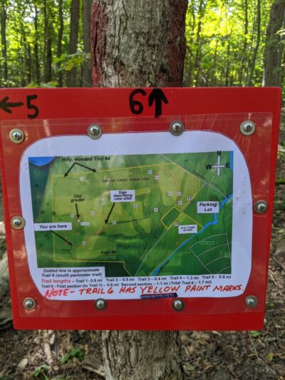 Camillus Forest Unique Area - Camillus, NY