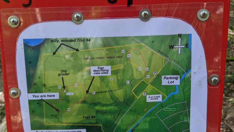 Camillus Forest Unique Area - Camillus, NY