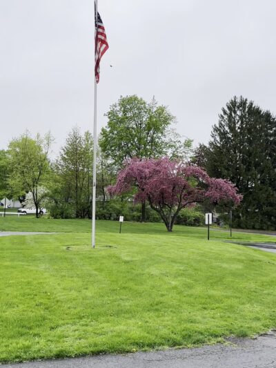 Camillus Park - Camillus, NY