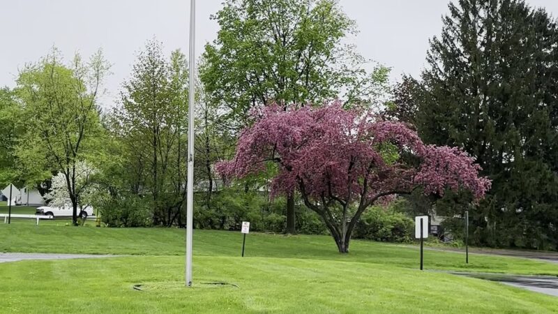 Camillus Park - Camillus, NY