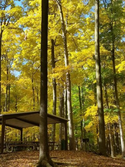 Camillus Park - Camillus, NY