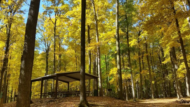 Camillus Park - Camillus, NY