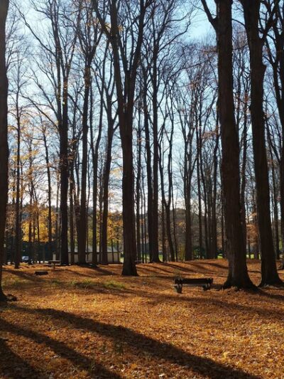 Camillus Splash Pad - Camillus, NY