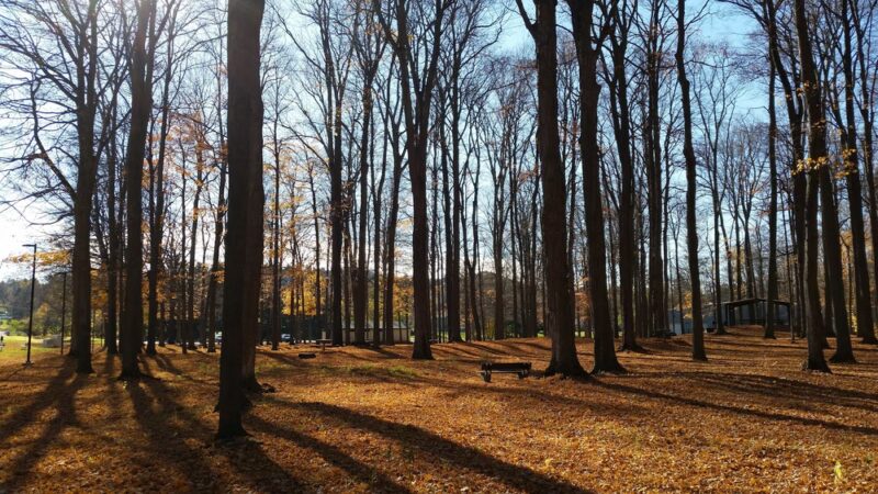 Camillus Splash Pad - Camillus, NY