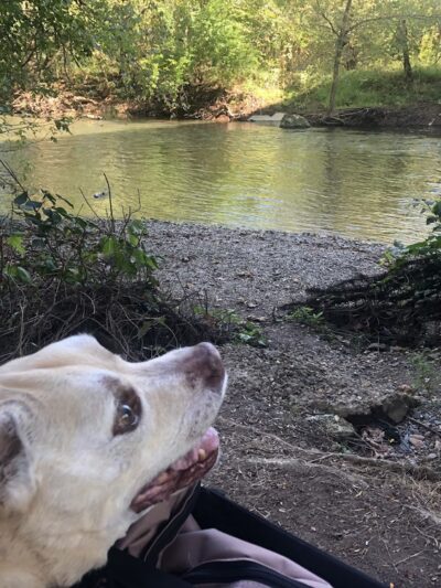 Creekwood Park - Camp Hill, PA
