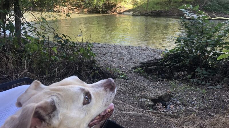 Creekwood Park - Camp Hill, PA