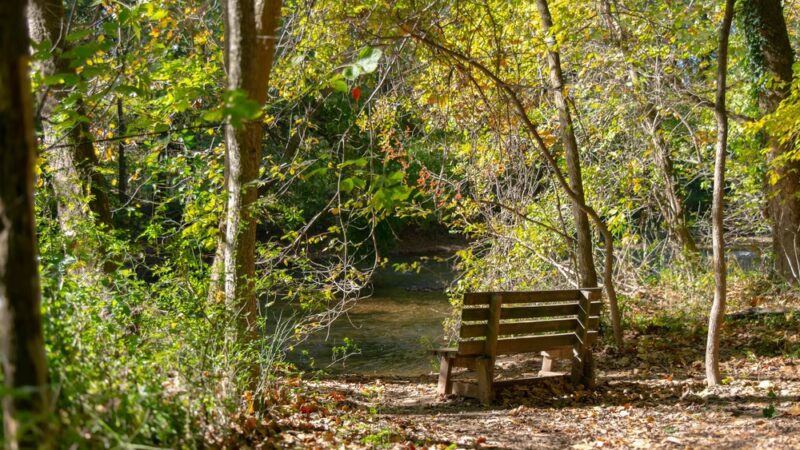 Creekwood Park - Camp Hill, PA
