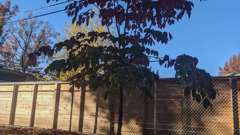 Highland Park Playground - Camp Hill, PA