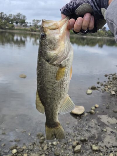 Lake O'Neil - Camp Pendleton North, CA