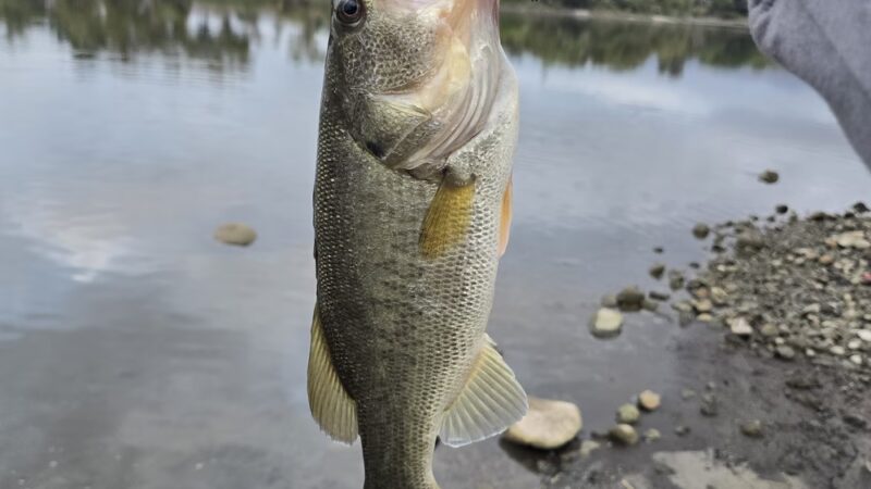 Lake O'Neil - Camp Pendleton North, CA