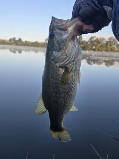 Lake O'Neil - Camp Pendleton North, CA