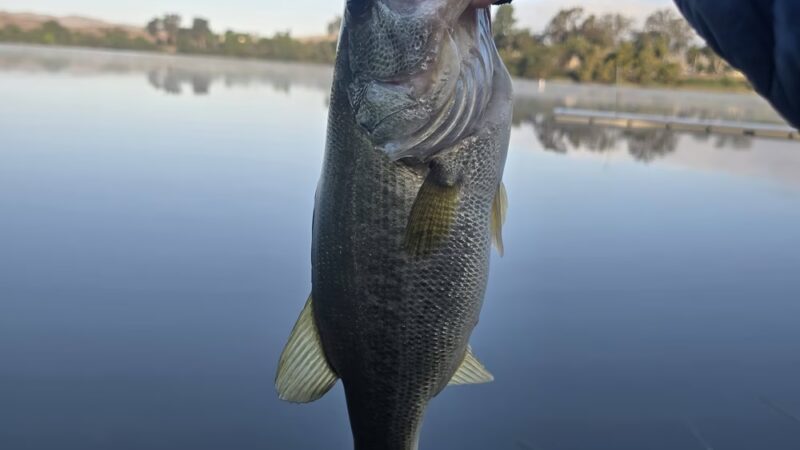 Lake O'Neil - Camp Pendleton North, CA