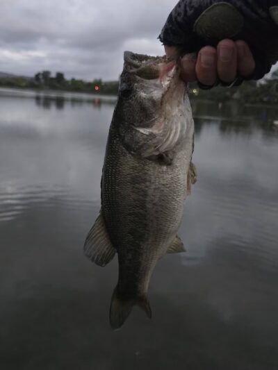 Lake O'Neil - Camp Pendleton North, CA