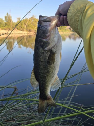 Lake O'Neil - Camp Pendleton North, CA