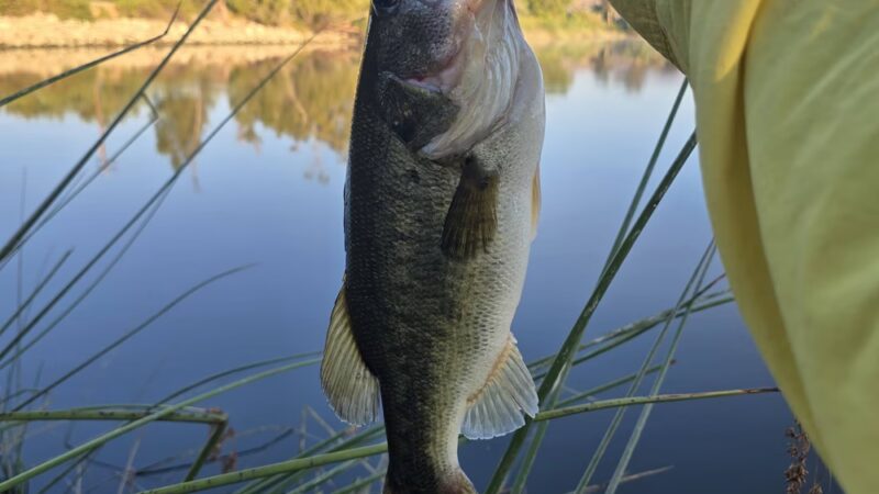 Lake O'Neil - Camp Pendleton North, CA