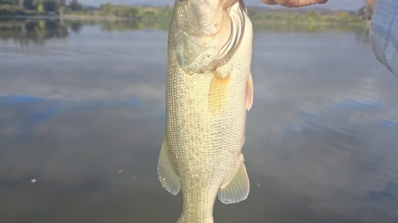 Lake O'Neil - Camp Pendleton North, CA