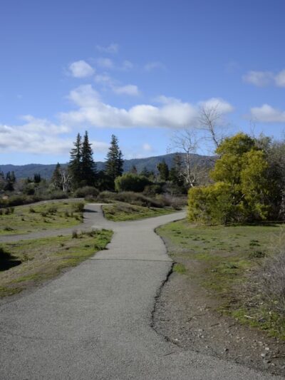 Los Gatos Creek County Park - Campbell, CA
