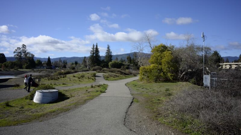 Los Gatos Creek County Park - Campbell, CA