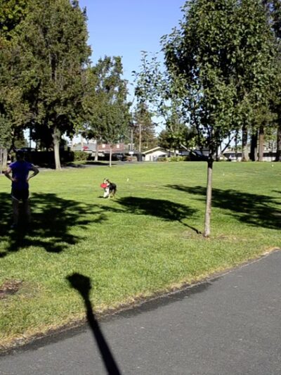 Los Gatos Creek County Park - Campbell, CA