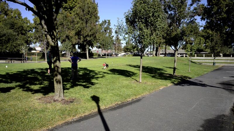 Los Gatos Creek County Park - Campbell, CA