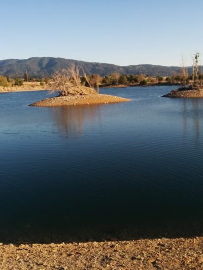 Los Gatos Creek County Park - Campbell, CA