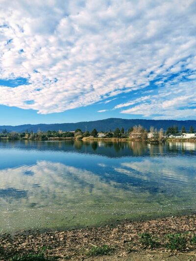 Los Gatos Creek County Park - Campbell, CA