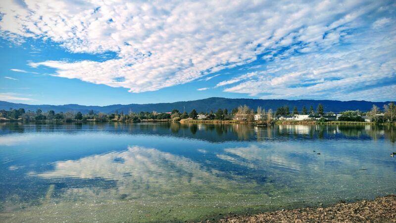 Los Gatos Creek County Park - Campbell, CA