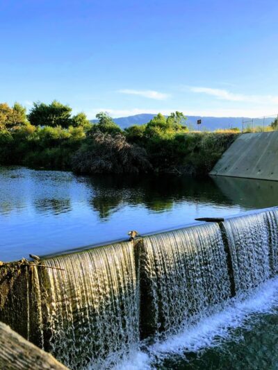 Los Gatos Creek County Park - Campbell, CA