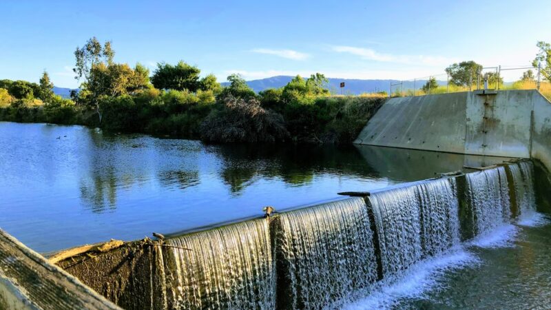 Los Gatos Creek County Park - Campbell, CA