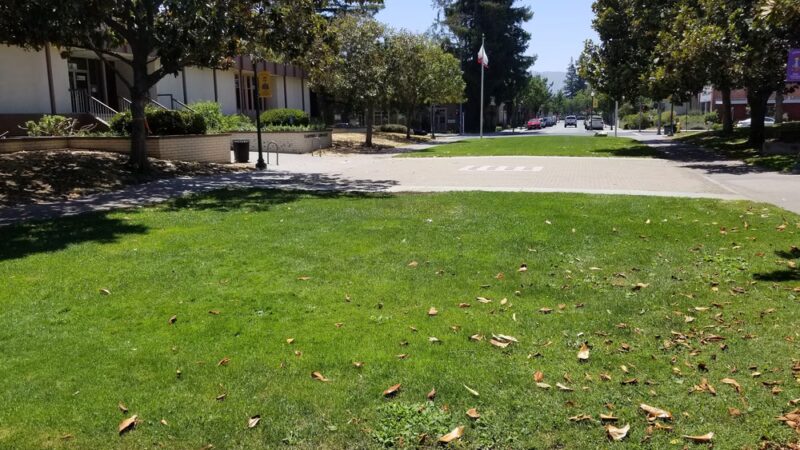 Orchard City Green - Campbell, CA