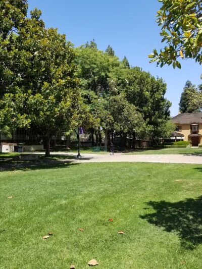 Orchard City Green - Campbell, CA