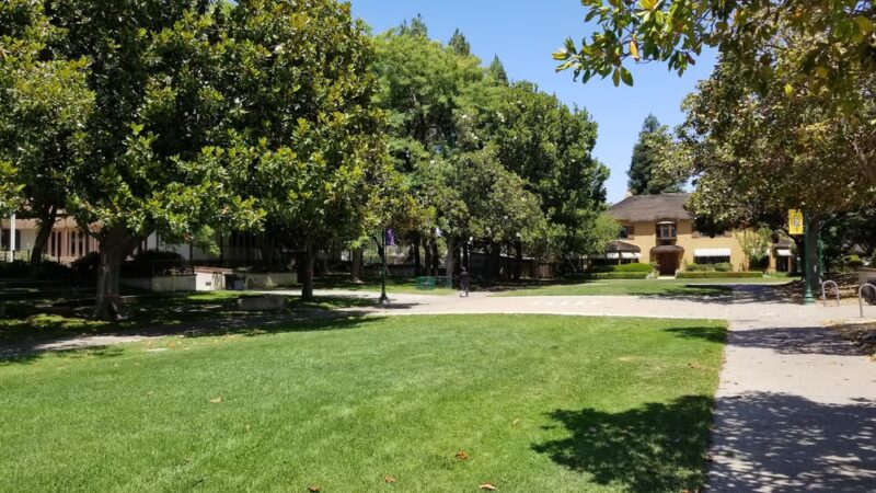 Orchard City Green - Campbell, CA