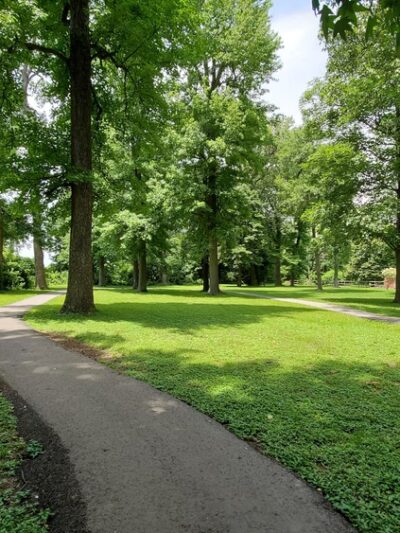 "Clyde the Camel " --West End of City Park - Campbell, MO
