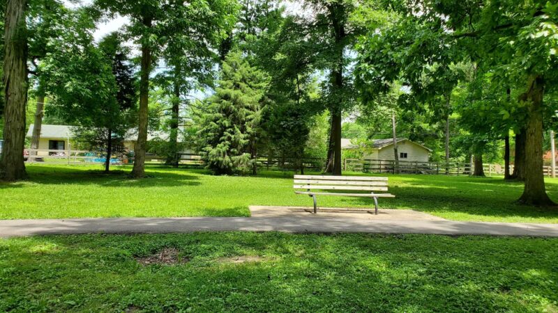"Clyde the Camel " --West End of City Park - Campbell, MO