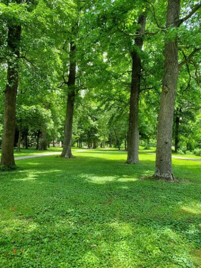 "Clyde the Camel " --West End of City Park - Campbell, MO