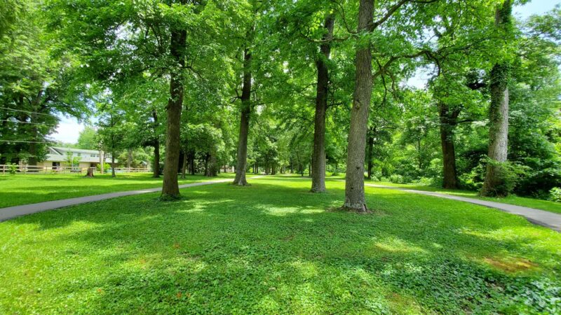 "Clyde the Camel " --West End of City Park - Campbell, MO