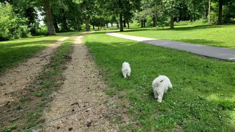 "Clyde the Camel " --West End of City Park - Campbell, MO