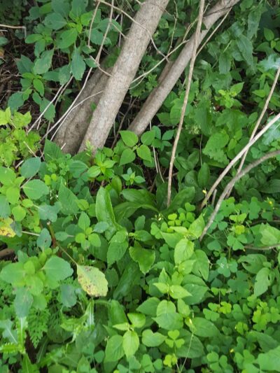 Columbus PARC - Campbellsport, WI