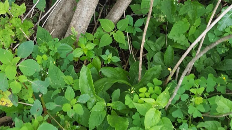 Columbus PARC - Campbellsport, WI